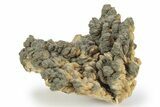 Pyrite Encrusted Barite Crystal Cluster - Lubin Mine, Poland #130507-1